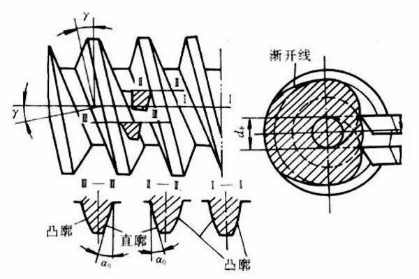 精准四肖八
