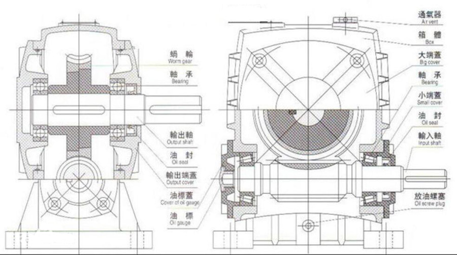 精准四肖八
